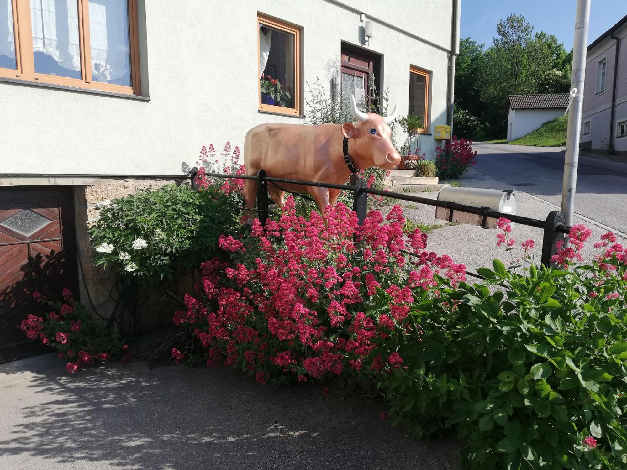 Apartment 43 Oberhoflein Zewnętrze zdjęcie